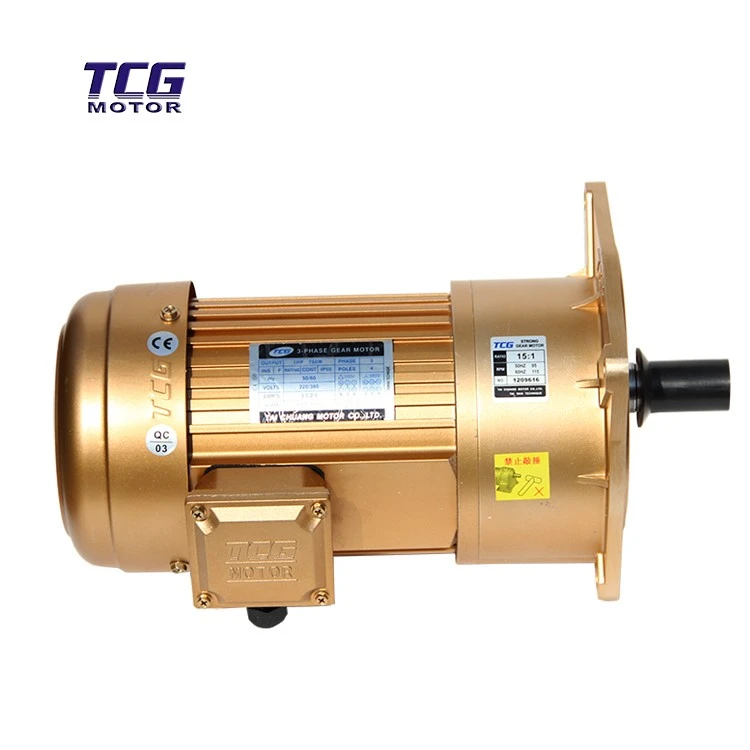 vertical flanged motor
